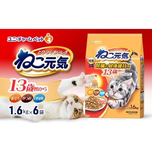 ふるさと納税 雑貨・日用品 兵庫県 伊丹市 ねこ元気 13歳頃から まぐろ・かつお・白身魚入り 1.6kg×6袋 ペットフード キャットフード 猫のごはん 猫用フード …