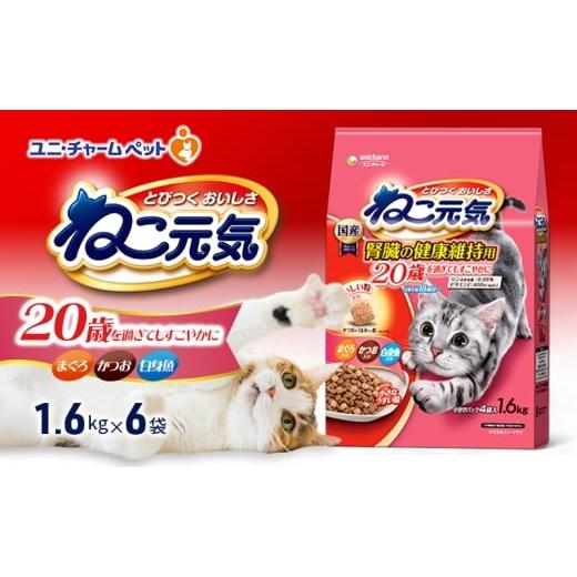 ふるさと納税 雑貨・日用品 兵庫県 伊丹市 ねこ元気 20歳を過ぎてもすこやかに まぐろ・かつお・白身魚入り 1.6kg×6袋 ペットフード キャットフード 猫のごは…