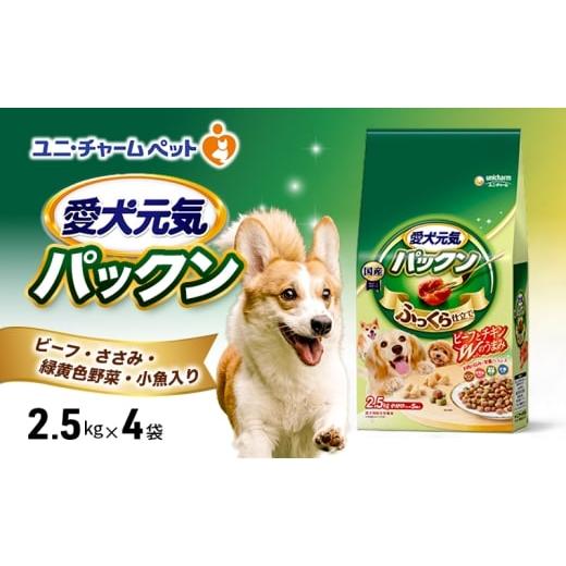 ふるさと納税 雑貨・日用品 兵庫県 伊丹市 愛犬元気パックン ビーフ・ささみ・緑黄色野菜・小魚入り 2.5kg×4袋 ペットフード ドッグフード 犬のごはん 犬用フ…
