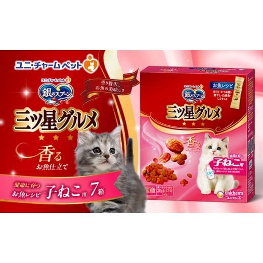 ふるさと納税 雑貨・日用品 兵庫県 伊丹市 銀のスプーン三ツ星グルメ 香るお魚仕立て健康に育つ子ねこ用 お魚レシピ 240g×7箱 ペットフード キャットフード …