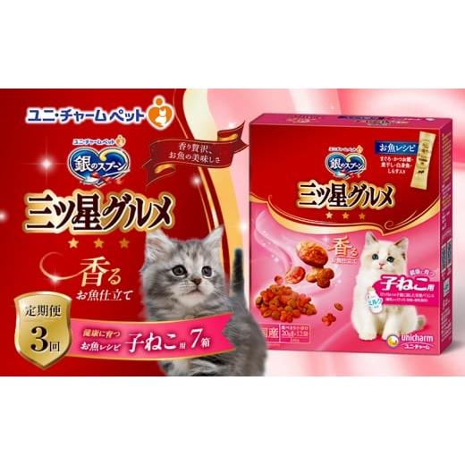 ふるさと納税 雑貨・日用品 兵庫県 伊丹市 定期便3回 銀のスプーン三ツ星グルメ 香るお魚仕立て健康に育つ子ねこ用 お魚レシピ 240g×7箱 3ヶ月連続お届け ペ…