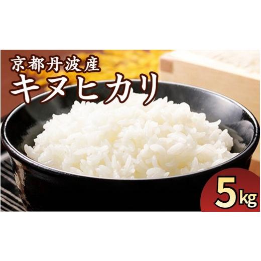 ふるさと納税 米 京都府 亀岡市 6月発送 生活応援 京都丹波産 きぬひかり 精米 5kg JA京都たわわ朝霧 白米 米 お米 こめ コメ ライス ご飯 ごはん ふっくら …