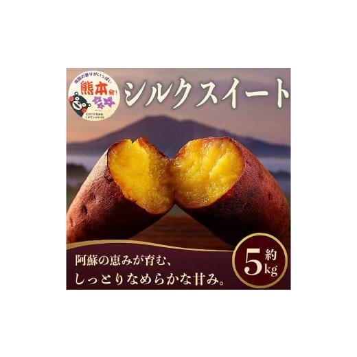 ふるさと納税 野菜類 サツマイモ 熊本県 益城町 シルクスイート さつまいも 約5kg サツマイモ さつまいも 芋 イモ 焼き芋 スイートポテト お菓子作り スイーツ…