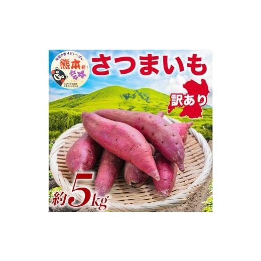 ふるさと納税 野菜類 サツマイモ 熊本県 益城町 訳あり さつまいも 約5kg サツマイモ さつまいも 芋 イモ 焼き芋 スイーツ 5kg 2026年10月上旬〜11月下旬発送…