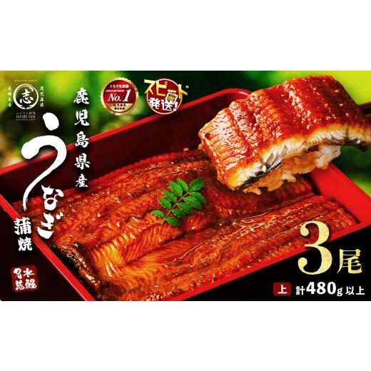 ふるさと納税 惣菜・レトルト 冷凍 鹿児島県 志布志市 10営業日以内に発送 鹿児島県産うなぎ蒲焼 名水慈鰻 3尾 計480g以上 うなぎ 鰻 ウナギ 3尾 国産 蒲焼 …