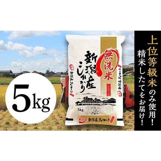 ふるさと納税 無洗米 新潟県 胎内市 31-M51 無洗米 新潟県産コシヒカリ5kg 無洗米5kg | 寄附金額15,000円