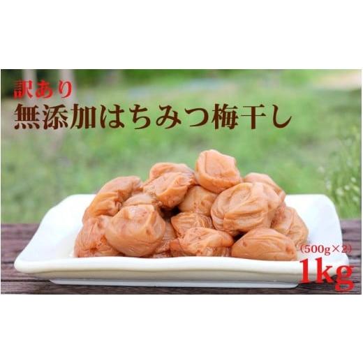 ふるさと納税 加工品等 梅干 和歌山県 古座川町 梅干し 紀州南高梅 はちみつ 無添加 訳あり はちみつ梅干 1kg(500×2) 紀州梅香 / 塩分6% 和歌山 梅干し …