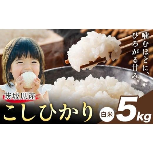 ふるさと納税 米 コシヒカリ 茨城県 結城市 米 こしひかり 白米 茨城 ふるさと米 5kg[2月中旬-3月末頃出荷] 茨城県 結城市 米 国産 お米 おこめ お弁当 おに…
