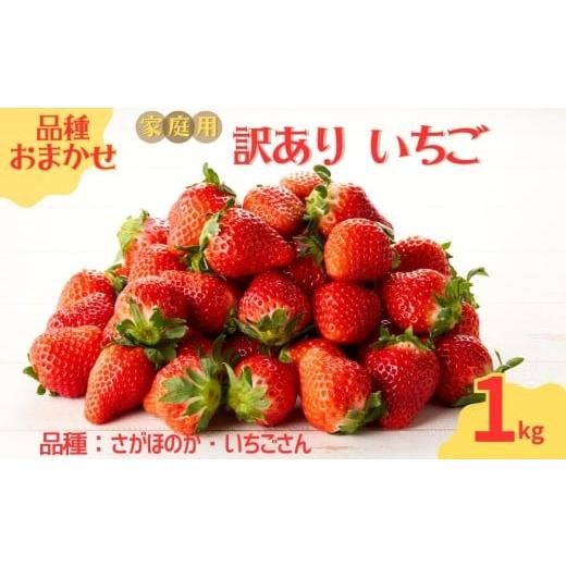 ふるさと納税 いちご 佐賀県 玄海町 予約受付 平川いちご農園 2026年1月〜5月 順次配送 玄海町産いちご(家庭用・訳あり)1kg / 送料無料 いちご さがほのか…