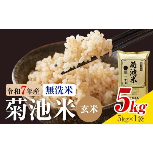 ふるさと納税 米 ヒノヒカリ 熊本県 菊池市 令和7年産 熊本県産 菊池米 無洗米 玄米 5kg 1袋5kg 株式会社くまもとごはん [30日以内に出荷予定(土日祝除く)]…