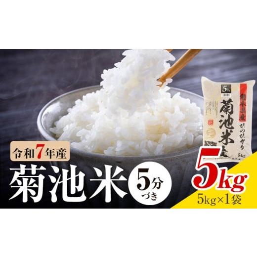ふるさと納税 米 ヒノヒカリ 熊本県 菊池市 令和7年産 熊本県産 菊池米 5分づき 5kg 1袋5kg 株式会社くまもとごはん [30日以内に出荷予定(土日祝除く)]米 お…