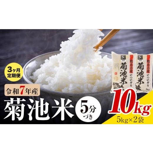 ふるさと納税 米 ヒノヒカリ 熊本県 菊池市 3ヶ月定期便 令和7年産 熊本県産 菊池米 5分づき 10kg 1袋5kg 株式会社くまもとごはん [お申込み翌月に出荷予定…