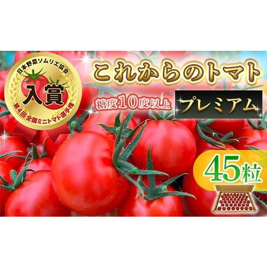 ふるさと納税 トマト ミニトマト 新潟県 長岡市 Q0-02これからのトマト プレミアム 45粒