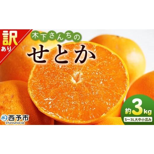 ふるさと納税 みかん・柑橘類 愛媛県 西予市 木下さんちのせとか 訳あり 約3kg(S〜3L大中小混み) 訳アリ 家庭用 自宅用 柑橘 ミカン みかん 蜜柑 果物 くだ…