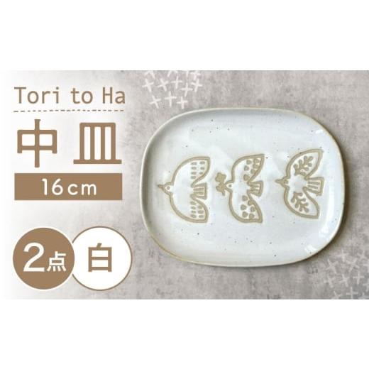 ふるさと納税 食器・グラス 皿 愛知県 瀬戸市 瀬戸焼 Tori to Ha 中皿 2枚 (白) カネ三商店 / 食器 皿 プレート ギフト / 瀬戸市