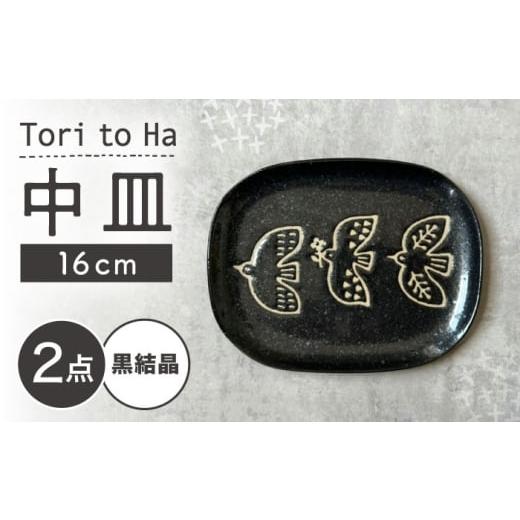 ふるさと納税 食器・グラス 皿 愛知県 瀬戸市 瀬戸焼 Tori to Ha 中皿 2枚 (黒結晶) カネ三商店 / 食器 皿 プレート ギフト / 瀬戸市