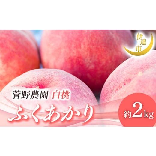 ふるさと納税 もも 福島県 伊達市 2026年出荷分先行予約 <冷蔵配送>福島県産 ふくあかり 約2kg (5〜9玉) 菅野農園FruitsProvider 贈り物 贈答 ギフト …