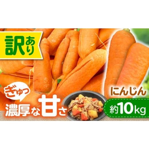ふるさと納税 野菜類 人参 愛媛県 大洲市 訳アリ にんじん 10kg にんじん 人参 ニンジン 訳アリ愛媛県大洲市/株式会社誠実村 AGER001 にんじん 人参 ニンジン…