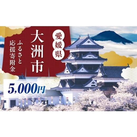 ふるさと納税 自治体にお任せ 愛媛県 大洲市 大洲市への寄附 5,000円 返礼品なし