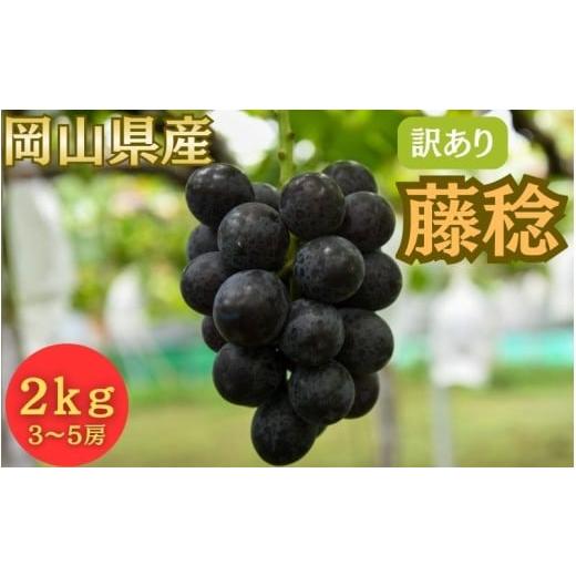 ふるさと納税 果物類 ぶどう 岡山県 真庭市 2026年先行予約 訳あり 岡山県産 藤稔 2kg以上 (3~5房) fsfm004-01