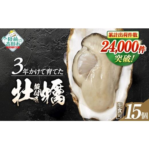 ふるさと納税 牡蠣 生牡蠣 岩手県 陸前高田市 6月後半発送 殻付き牡蠣15個(生食用) 予約受付 期間限定 牡蠣 かき 殻付き 生食 大粒 人気 国産 真牡蠣 三陸…