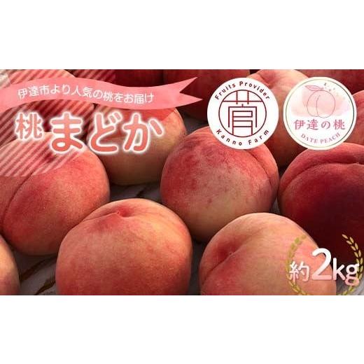 ふるさと納税 もも 福島県 伊達市 2026年出荷分先行予約 <冷蔵配送>福島県産 まどか 約2kg (5〜7玉) 菅野農園FruitsProvider 大玉 固め 伊達の桃 桃 フ…