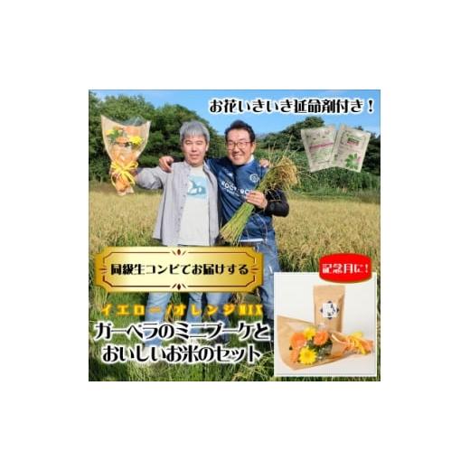ふるさと納税 米 静岡県 磐田市 1月発送 同級生コンビでお届けするガーベラMIXブーケとおいしいお米のセット・お花長持ち栄養剤付き 1706322