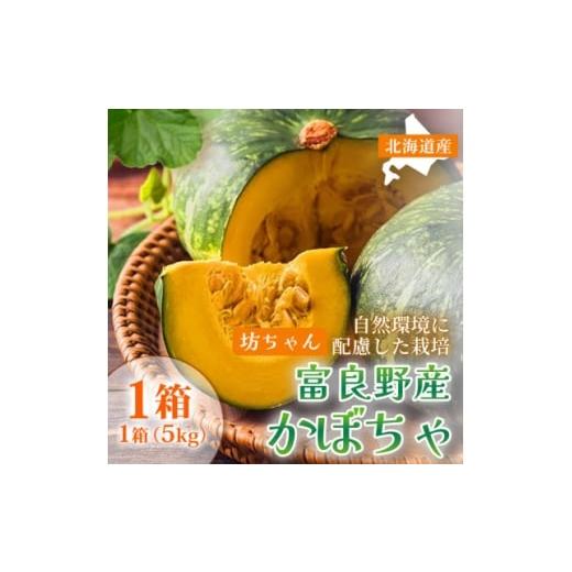 ふるさと納税 野菜類 北海道 富良野市 秋の味覚 北海道産小玉かぼちゃ 坊ちゃんかぼちゃ 無選別5kg×1箱|北海道富良野市9〜10月発送 1705331