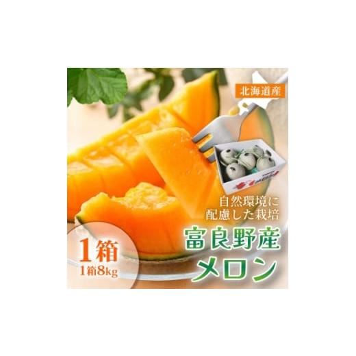 ふるさと納税 メロン 北海道 富良野市 糖度15度以上 赤肉メロン 富良野産 メロン8kg サイズいろいろ1箱|北海道富良野市7〜8月発送 1705342
