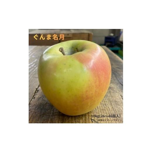 ふるさと納税 りんご 青森県 黒石市 訳あり/家庭用 ぐんま名月 約10kg(26〜46個) 2026年11月〜順次発送予定 1709971