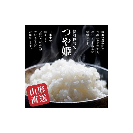 ふるさと納税 米 つや姫 山形県 東根市  令和7年産米 2026年5月後半発送 特別栽培米 つや姫25kg 山形県 東根市産 深瀬商店提供 hi053-062-053 2026年5月後半発…の画像