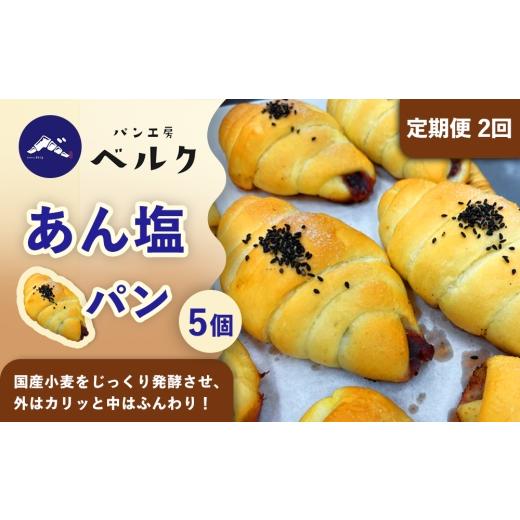 ふるさと納税 パン 愛知県 稲沢市 2回定期便 あん塩パン 5個セット / あんぱん 塩ぱん 塩パン あん塩 アンパン あんパン パン セット 冷凍パン 朝食 おやつ …