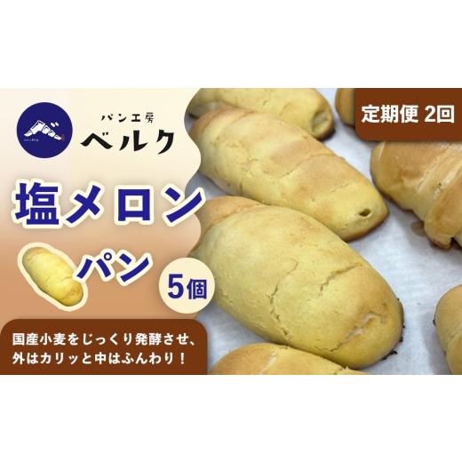 ふるさと納税 パン 愛知県 稲沢市 2回定期便 塩メロンパン 5個セット / メロンパン 塩メロンパン 塩パン めろんぱん パン セット 冷凍パン 朝食 おやつ ぱん…