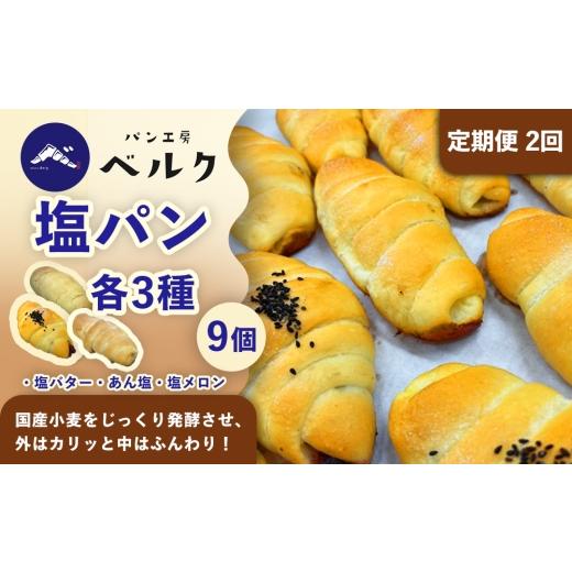 ふるさと納税 パン 愛知県 稲沢市 2回定期便 塩パン全種食べ比べ 9個セット / 塩パン あん塩 メロンパン 食べ比べ 惣菜パン パンセット 冷凍パン 朝食 おや…