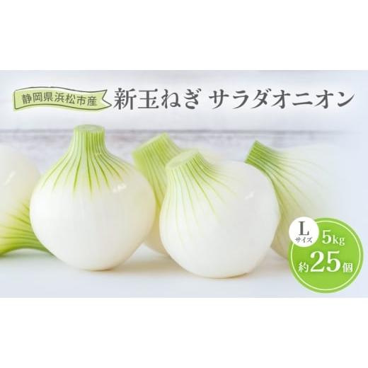ふるさと納税 野菜類 玉ねぎ 静岡県 浜松市 静岡県浜松市産 新玉ねぎ サラダオニオン Lサイズ 5kg 約25個 野菜 新玉ねぎ たまねぎ タマネギ サラダ オニオン …