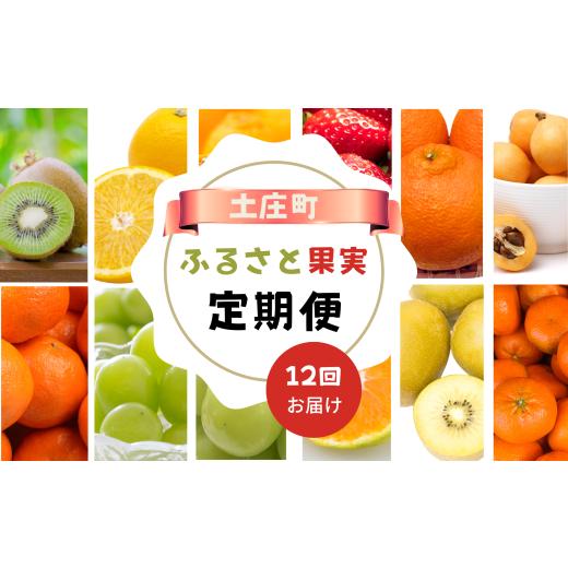 ふるさと納税 果物類 みかん 香川県 土庄町 小豆島 12回お届け 土庄町 ふるさと果実 定期便 12回