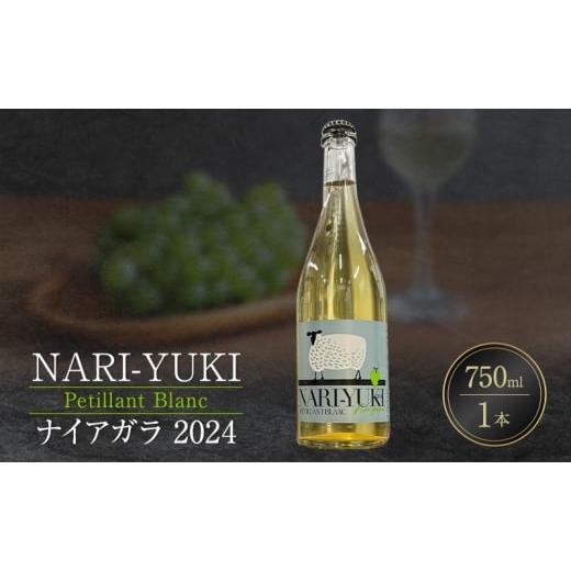 ふるさと納税 ワイン 白ワイン 北海道 仁木町 NARI-YUKI Petillant Blanc ナイアガラ 2024 750ml 1本 ワイン お酒 果実酒 北海道産 国産ぶどう