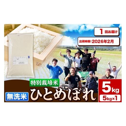 ふるさと納税 米 ひとめぼれ 秋田県 由利本荘市 [予約受付]令和7年産 無洗米 特別栽培米 ひとめぼれ 5kg 秋田県産 2026年2月出荷 お米 米 こめ