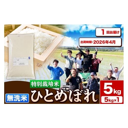 ふるさと納税 米 ひとめぼれ 秋田県 由利本荘市 [予約受付]令和7年産 無洗米 特別栽培米 ひとめぼれ 5kg 秋田県産 2026年4月出荷 お米 米 こめ