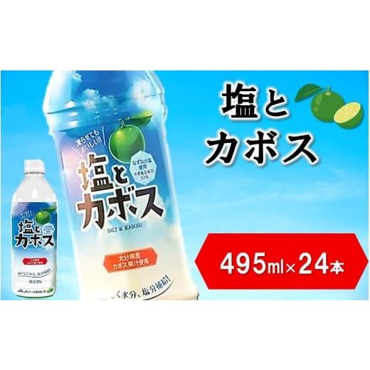 ふるさと納税 果汁飲料 大分県 国東市 塩とカボス 1ケース/495ml×24本 ドリンク ジュース 大分県産 _2681R-1 1ケース/495ml×24本
