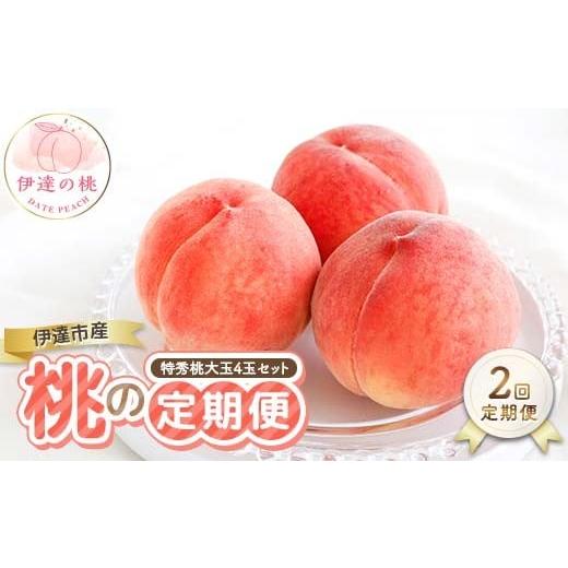 ふるさと納税 もも 福島県 伊達市 2026年出荷分先行予約 福島県産 2回届く 伊達市産の桃の定期便 特秀 もも 大玉 セット 4玉入り (約1.2kg) 株式会社エールア…