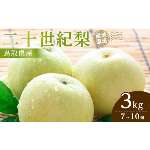 ふるさと納税 梨 鳥取県 北栄町 2026年9月発送 二十世紀梨 3kg 先行予約 梨 なし 果物 フルーツ 3キロ 鳥取県産 北栄町 おすすめ 人気