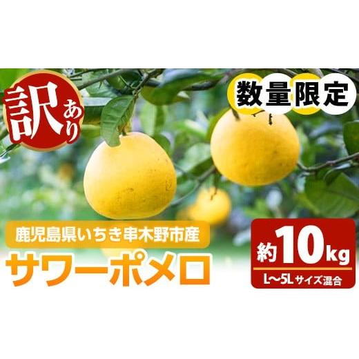 ふるさと納税 果物類 みかん 鹿児島県 いちき串木野市 ＼訳あり/ご家庭用 サワーポメロ 10kg (L〜5L)目安:20〜25玉 満杯バラ詰め 農家直送 特産品 果樹 A-…