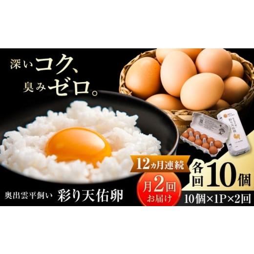 ふるさと納税 卵(鶏、烏骨鶏等) 島根県 雲南市 卵[月2回 × 10個 12ヵ月コース]たたらの里平飼い 彩り天佑卵 全24回定期便 たまご 卵 放牧卵 平飼い卵 国…