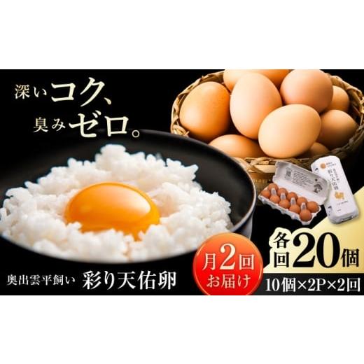 ふるさと納税 卵(鶏、烏骨鶏等) 島根県 雲南市 [月2回 × 20個 1ヶ月コース] たたらの里平飼い 彩り天佑卵 全2回定期便 島根県雲南市/株式会社たなべたた…