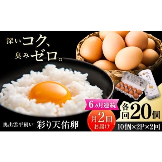 ふるさと納税 卵（鶏、烏骨鶏等） 島根県 雲南市 《月2回 × 20個 6ヵ月コース》 たたらの里平飼い 彩り天佑卵 全12回定期便 たまご 卵 放牧卵 平飼い卵 国産…_1