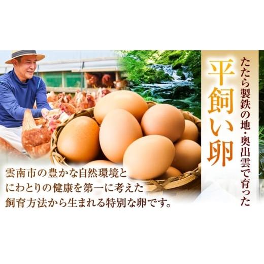 ふるさと納税 卵（鶏、烏骨鶏等） 島根県 雲南市 《月2回 × 20個 6ヵ月コース》 たたらの里平飼い 彩り天佑卵 全12回定期便 たまご 卵 放牧卵 平飼い卵 国産…_2