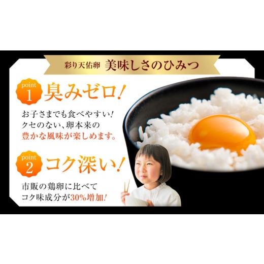 ふるさと納税 卵（鶏、烏骨鶏等） 島根県 雲南市 《月2回 × 20個 6ヵ月コース》 たたらの里平飼い 彩り天佑卵 全12回定期便 たまご 卵 放牧卵 平飼い卵 国産…_4