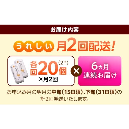 ふるさと納税 卵（鶏、烏骨鶏等） 島根県 雲南市 《月2回 × 20個 6ヵ月コース》 たたらの里平飼い 彩り天佑卵 全12回定期便 たまご 卵 放牧卵 平飼い卵 国産…_5