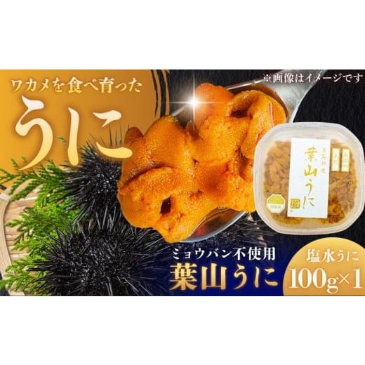 ふるさと納税 ウニ 神奈川県 葉山町 うに 葉山うに 塩水うに 葉山ウニ 生うに ウニ 無添加 海鮮 魚介 新鮮 珍味 くぼたマリンファーム